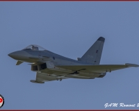 TSR Watermark - 0503